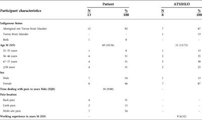 Communication and access to healthcare: Experiences of Aboriginal and Torres Strait Islander people managing pain in Queensland, Australia